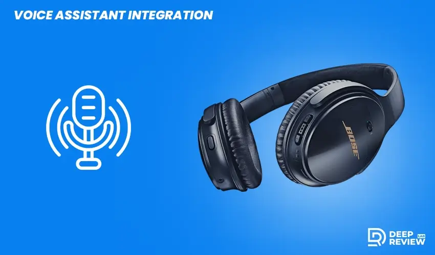 Voice Assistant Integration